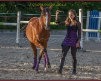 2-13JUIN 0701
